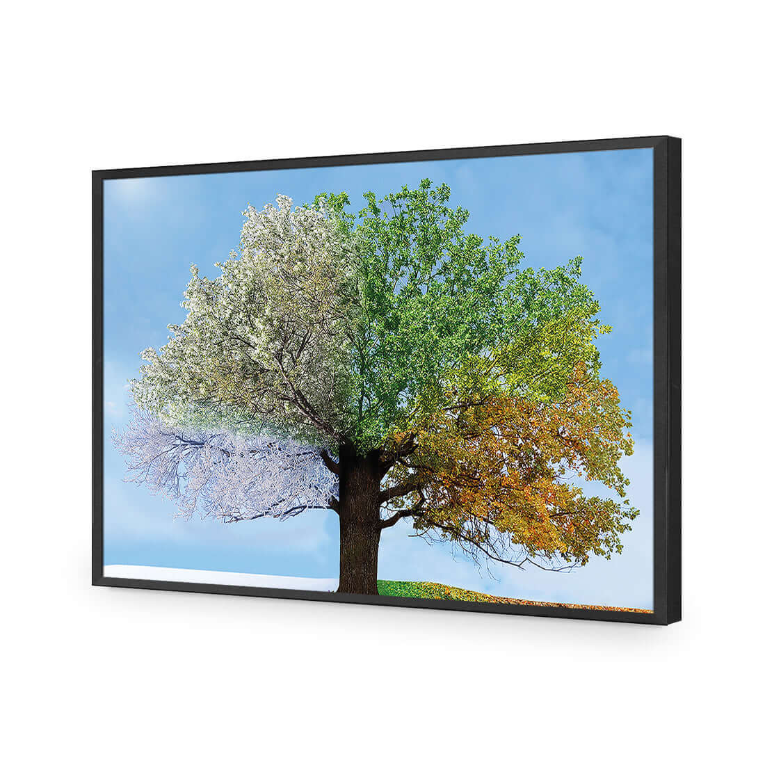 A Tree For All Seasons - Wall Art Designs - 2609_AR_H WAD_AP - 030 - EDG_45x30_S - 2538 - BLK