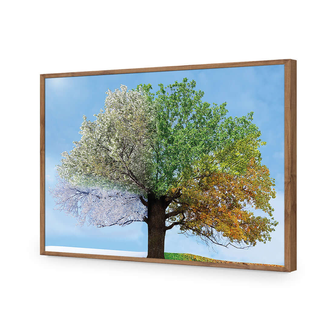 A Tree For All Seasons - Wall Art Designs - 2609_AR_H WAD_AP - 030 - EDG_45x30_S - 2538 - NAT