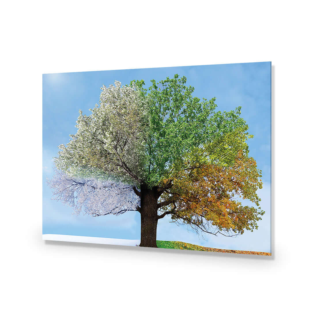 A Tree For All Seasons - Wall Art Designs - 2609_AR_H WAD_AP - 030 - EDG_45x30_NONE