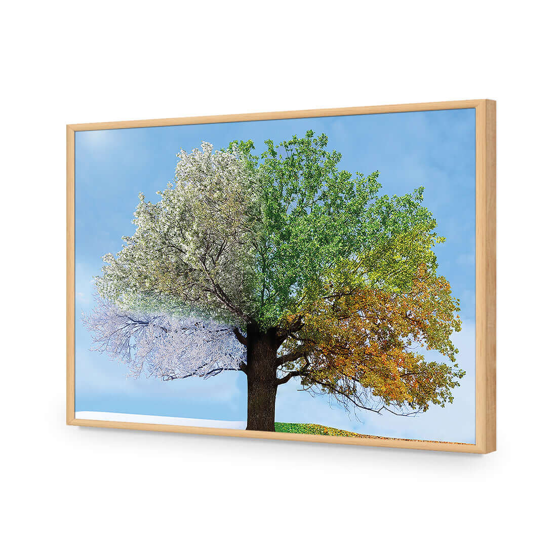 A Tree For All Seasons - Wall Art Designs - 2609_AR_H WAD_AP - 030 - EDG_45x30_S - 2538 - OAK