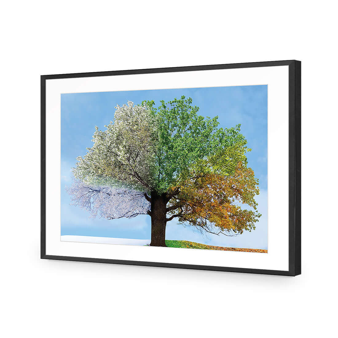 A Tree For All Seasons - Wall Art Designs - 2609_AR_H WAD_AP - 030 - MAT_45x30_S - 2538 - BLK