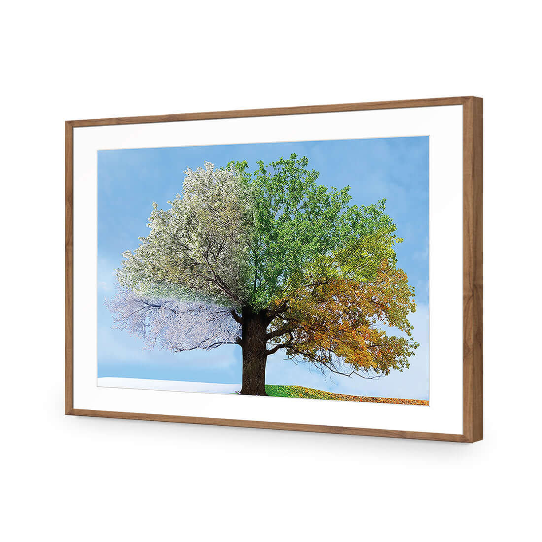 A Tree For All Seasons - Wall Art Designs - 2609_AR_H WAD_AP - 030 - MAT_45x30_S - 2538 - NAT