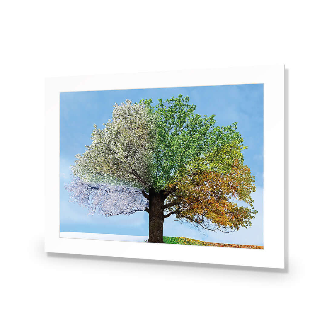 A Tree For All Seasons - Wall Art Designs - 2609_AR_H WAD_AP - 030 - MAT_45x30_NONE