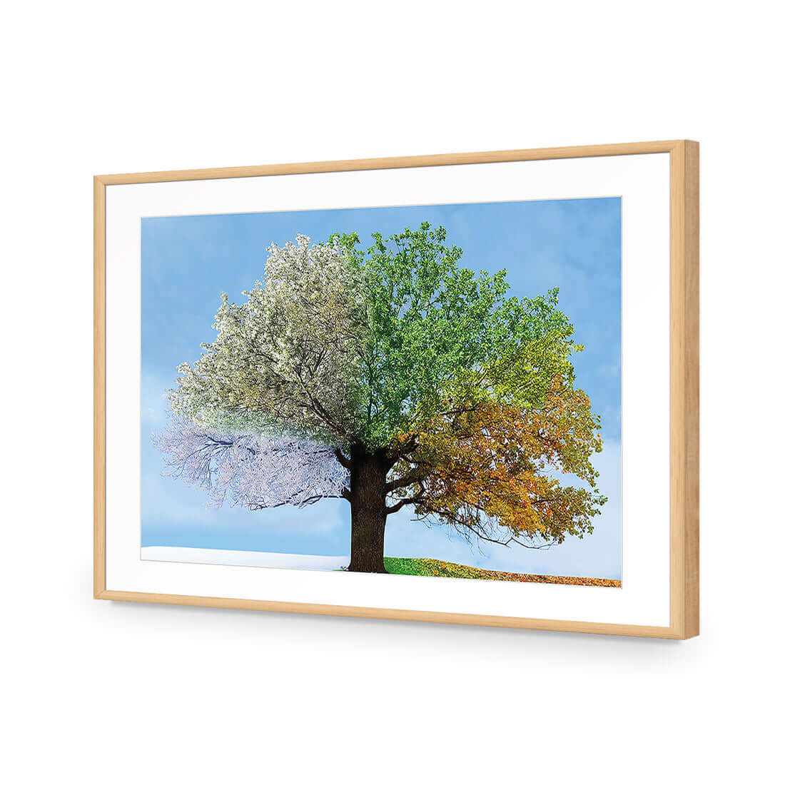 A Tree For All Seasons - Wall Art Designs - 2609_AR_H WAD_AP - 030 - MAT_45x30_S - 2538 - OAK