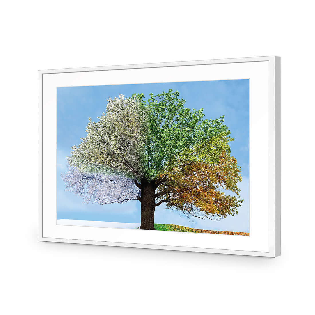 A Tree For All Seasons - Wall Art Designs - 2609_AR_H WAD_AP - 030 - MAT_45x30_S - 2538 - WHT