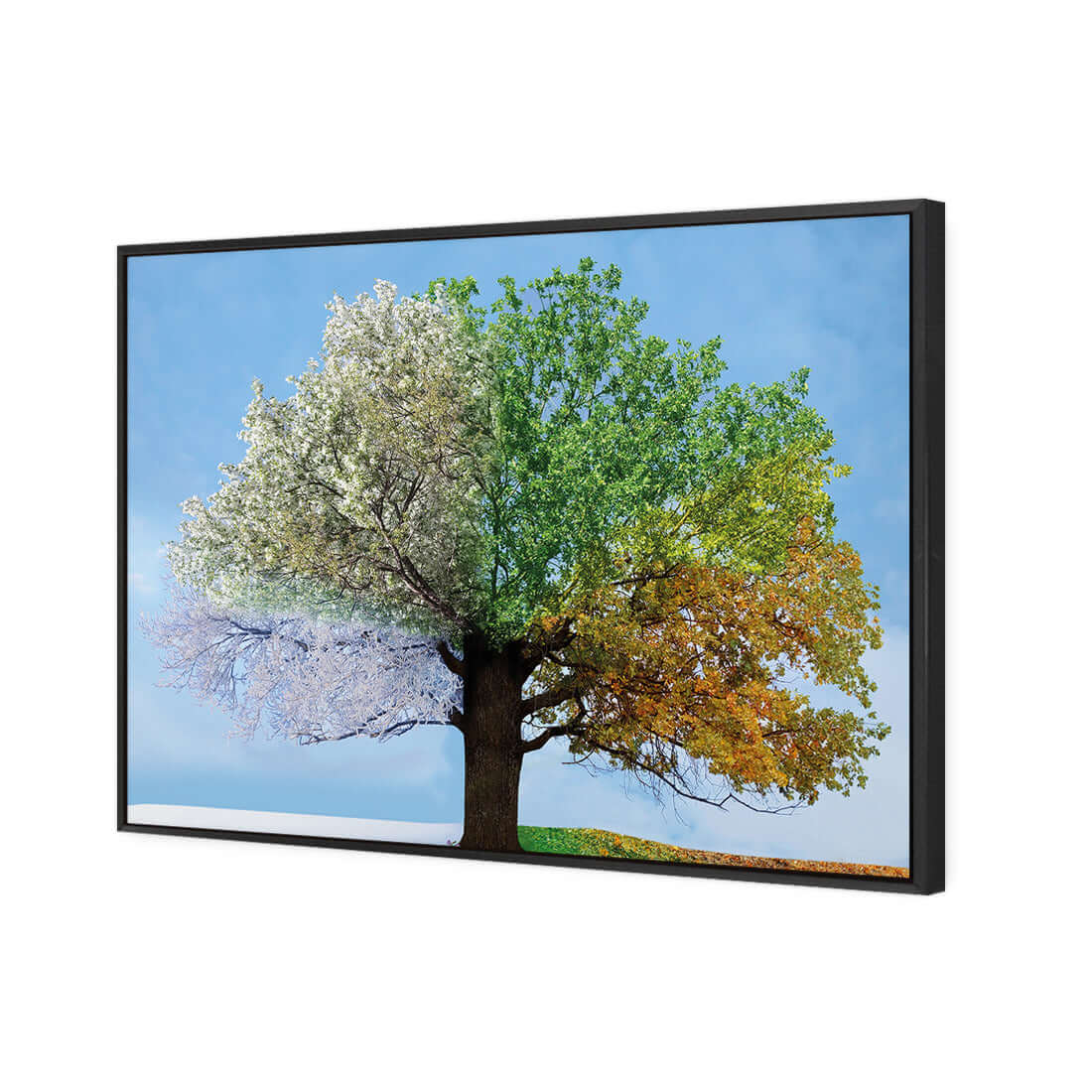 A Tree For All Seasons - Wall Art Designs - 2609_AR_H WAD_CP - MPY - 260 - M - S - S_45x30_S - 1550 - BLK