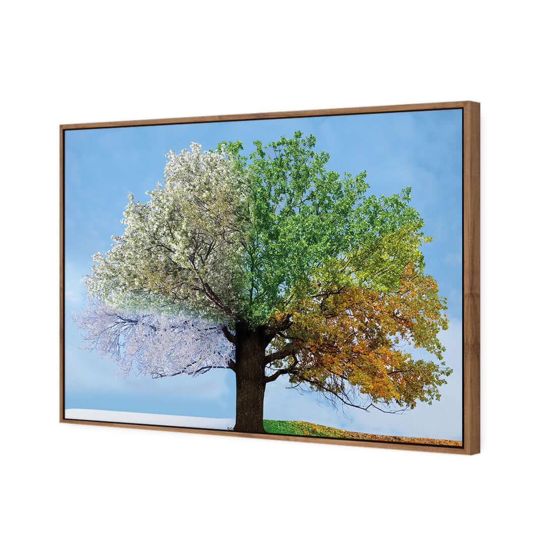 A Tree For All Seasons - Wall Art Designs - 2609_AR_H WAD_CP - MPY - 260 - M - S - S_45x30_S - 1550 - NAT