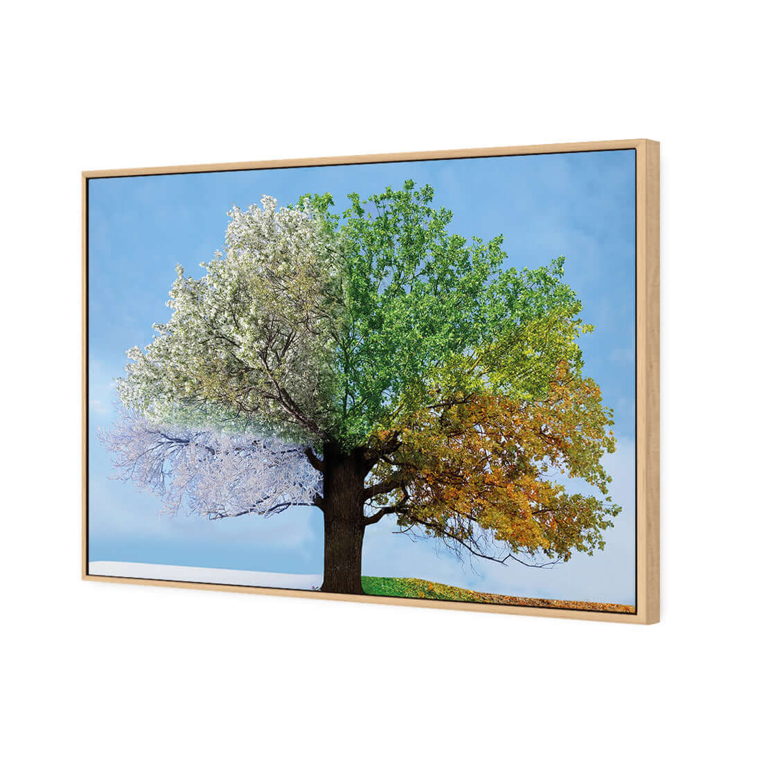 A Tree For All Seasons - Wall Art Designs - 2609_AR_H WAD_CP - MPY - 260 - M - S - S_45x30_S - 1550 - OAK