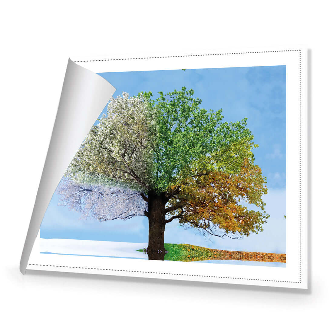 A Tree For All Seasons - Wall Art Designs - 2609_AR_H WAD_CP - MPY - 260 - M - R_45x30_NONE