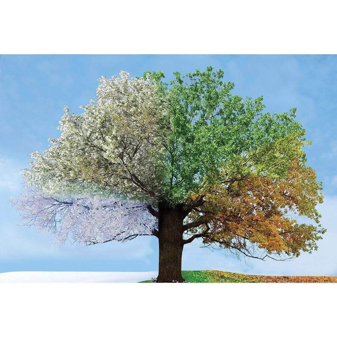 A Tree For All Seasons - Wall Art Designs - 2609_AR_H WAD_CP - MPY - 260 - M - S - S_45x30_NONE