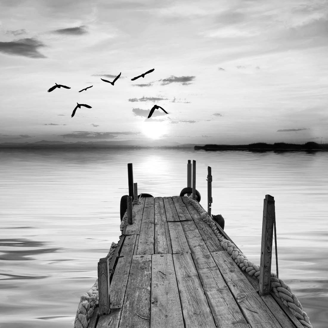 Abandoned Jetty, Black and White (square) - Wall Art Designs - 732_BS_Q WAD_CP - MPY - 260 - M - S - S_37x37_NONE