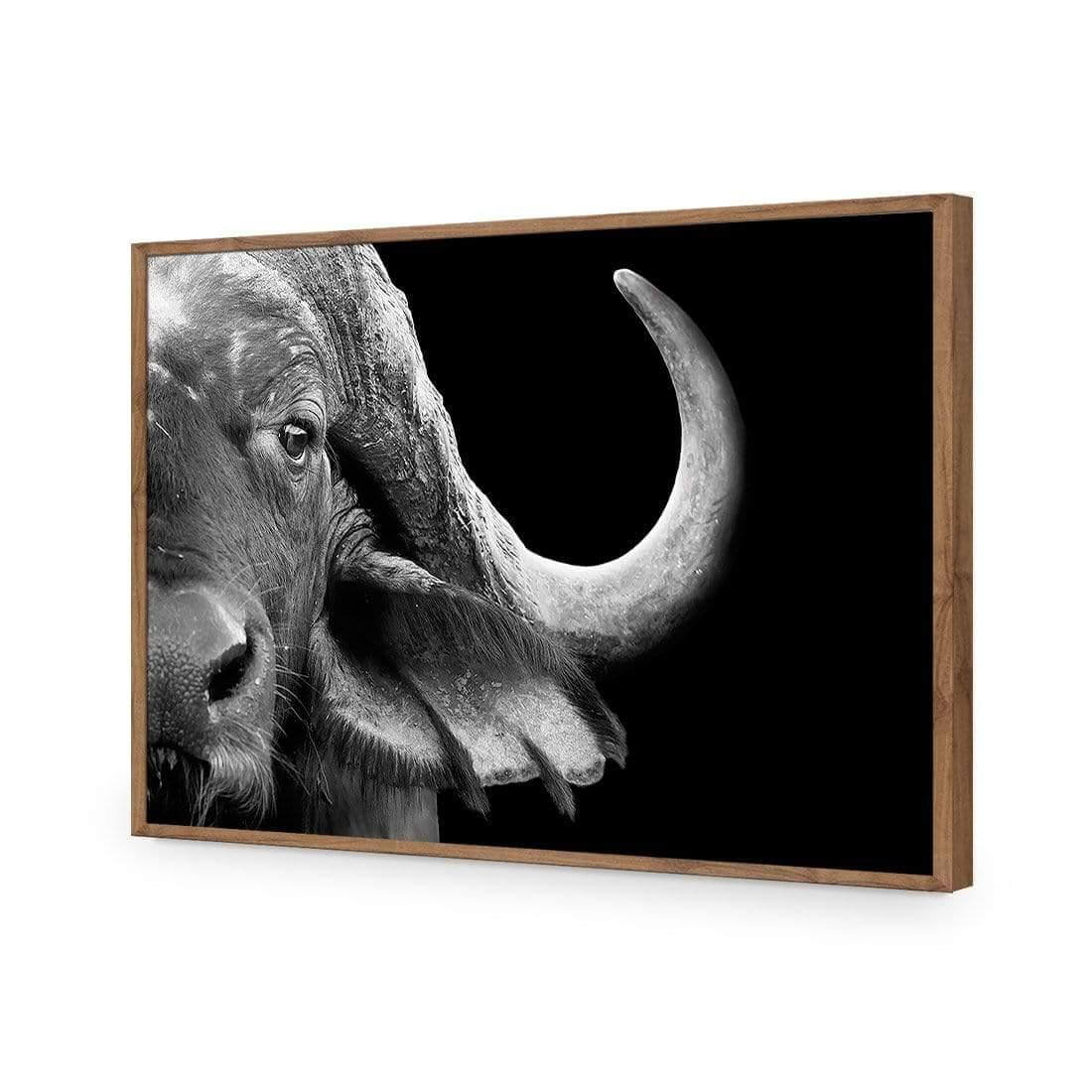 African Cape Buffalo - Wall Art Designs - 3110_AR_H WAD_AP - 030 - EDG_45x30_S - 2538 - NAT