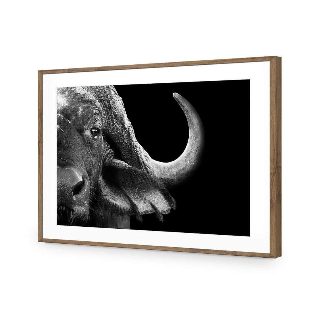 African Cape Buffalo - Wall Art Designs - 3110_AR_H WAD_AP - 030 - MAT_45x30_S - 2538 - NAT