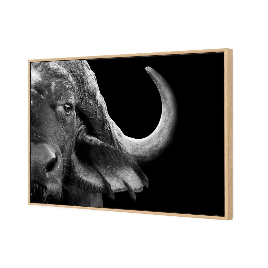 African Cape Buffalo - Wall Art Designs - 3110_AR_H WAD_CP - MPY - 260 - M - S - S_45x30_S - 1550 - OAK