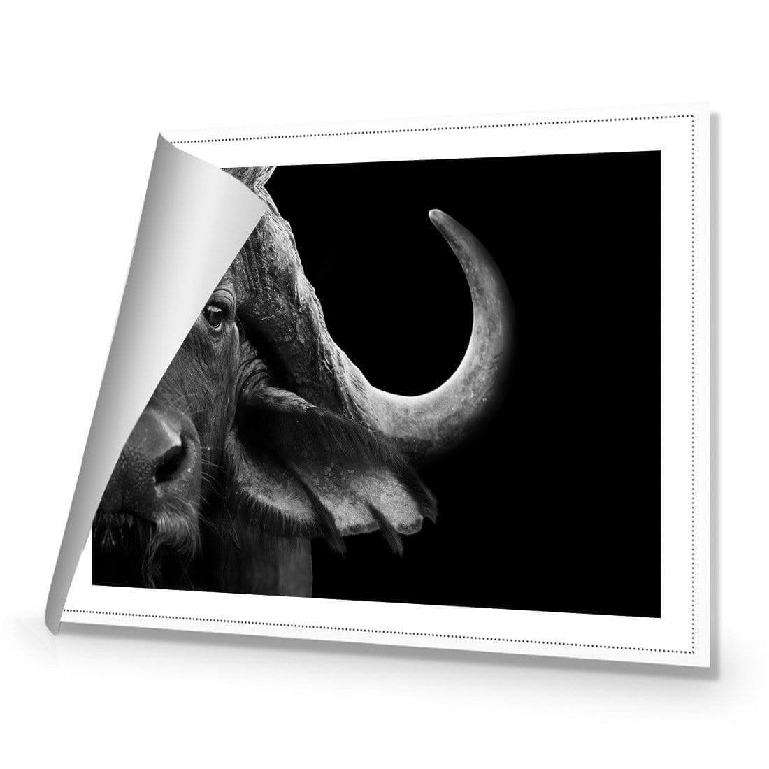 African Cape Buffalo - Wall Art Designs - 3110_AR_H WAD_CP - MPY - 260 - M - R_45x30_NONE