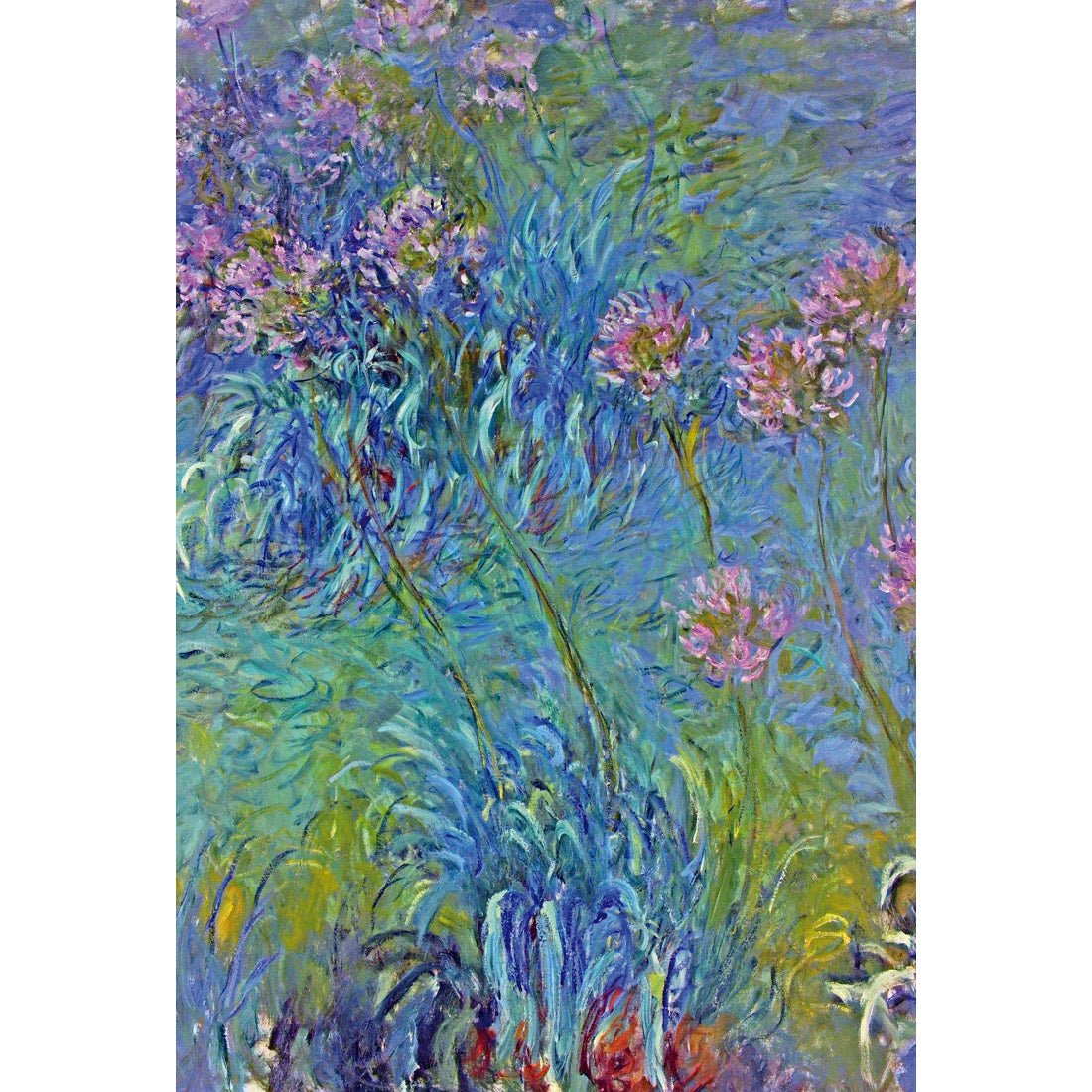 Agapanthus by Monet Acrylic Glass Art - Wall Art Designs - 1043_AR_V WAD_AP - 030 - MAT_45x30_NONE_ART