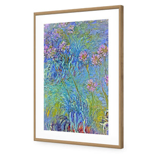 Agapanthus by Monet | Standard Acrylic | Flat Frame With Border | Oak