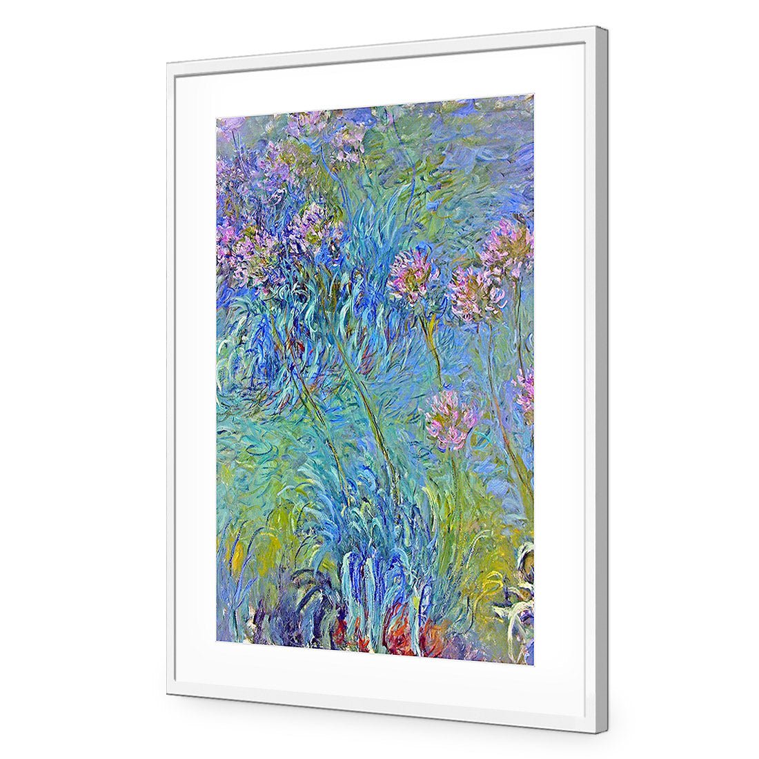 Agapanthus by Monet | Standard Acrylic | Flat Frame With Border | White