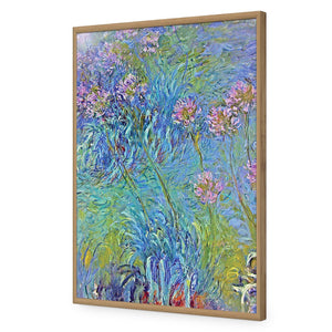 Agapanthus by Monet | Standard Acrylic | Flat Frame No Border | Oak