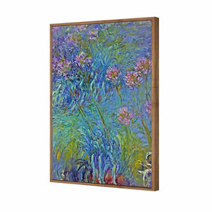 Agapanthus by Monet | Standard Canvas | Floating Frame | Natural