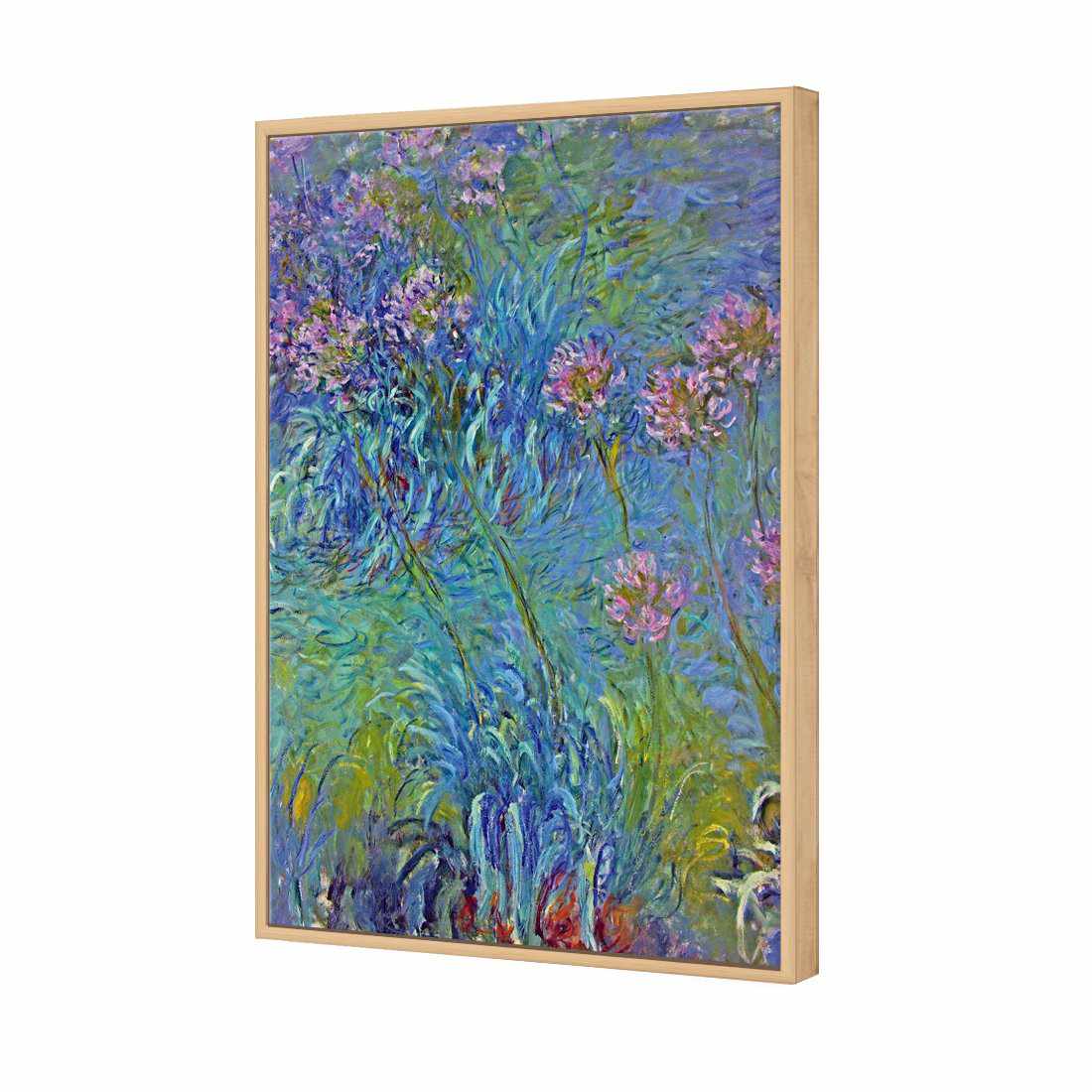 Agapanthus by Monet | Standard Canvas | Floating Frame | Oak