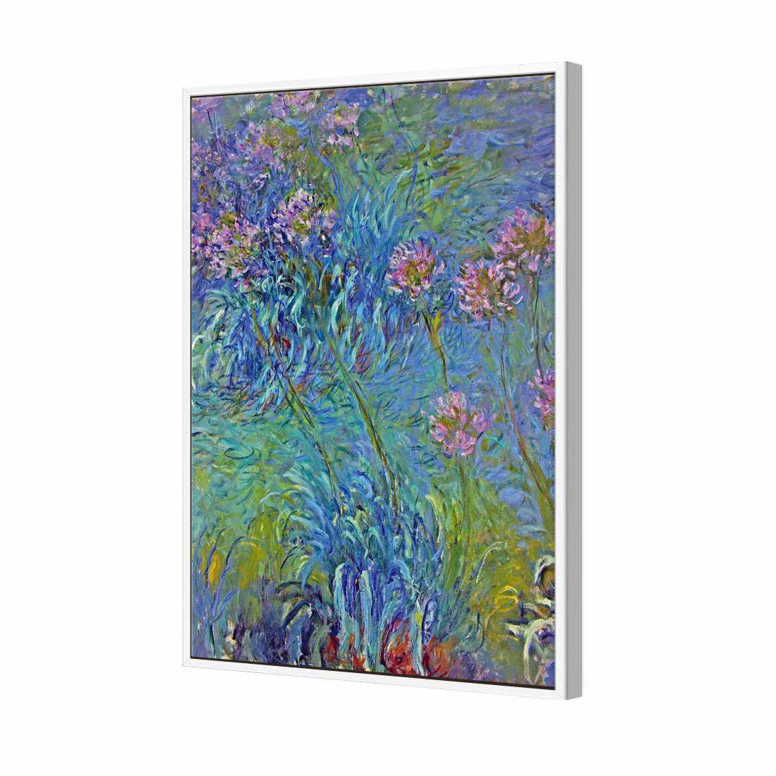 Agapanthus by Monet | Standard Canvas | Floating Frame | White