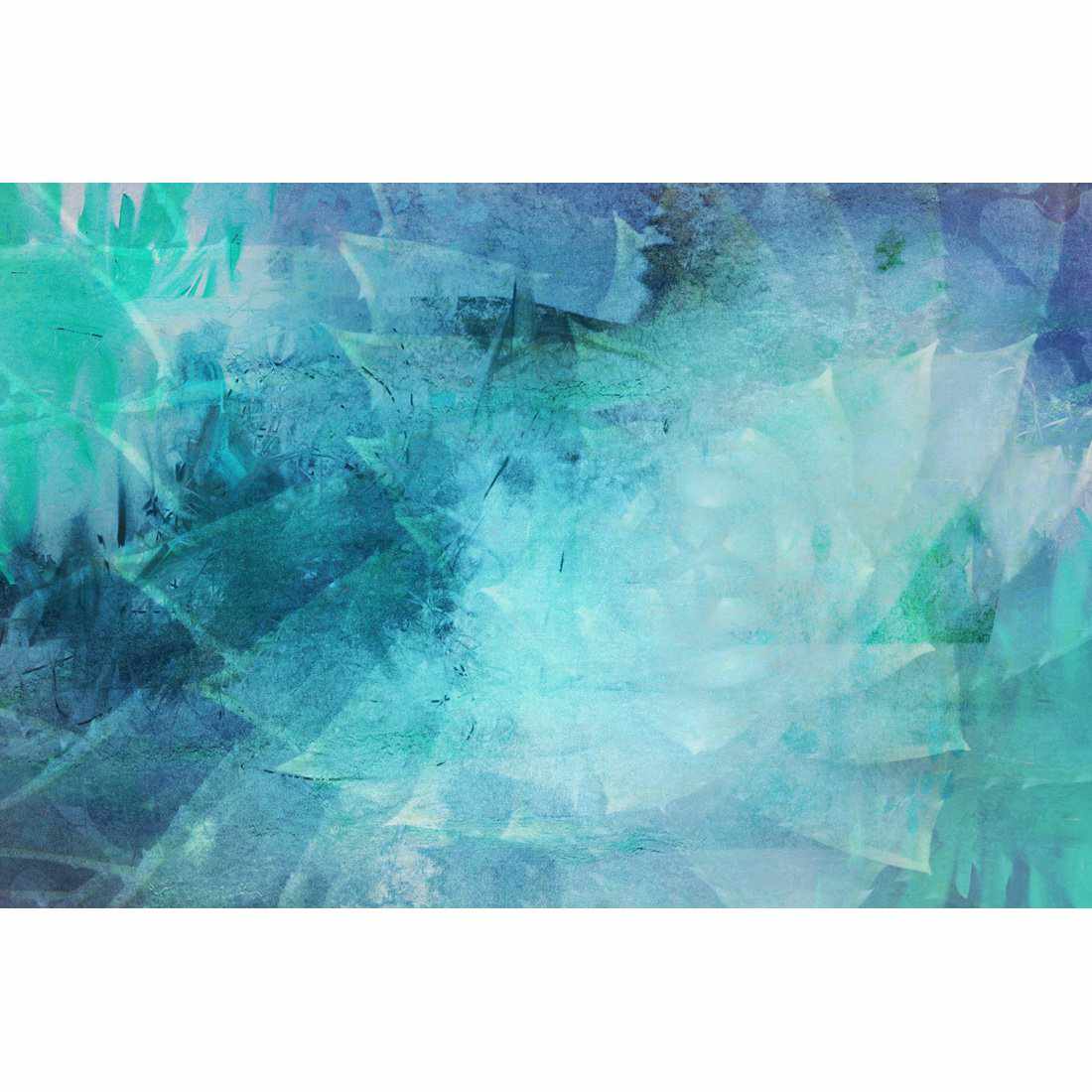Agave Illusions