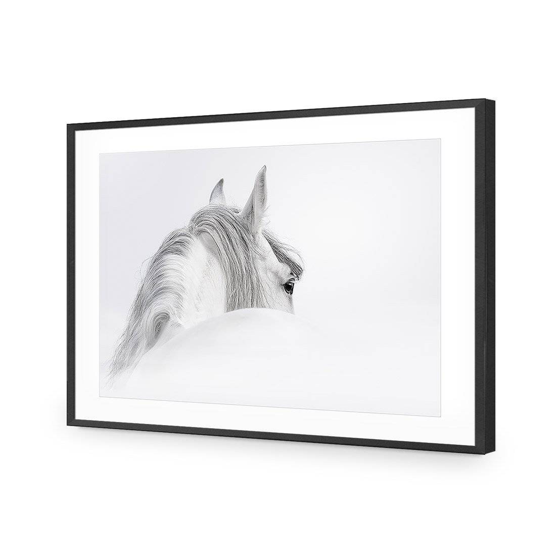 Andalusian Horse In The Mist | Classic Acrylic | Flat Frame With Border | Black