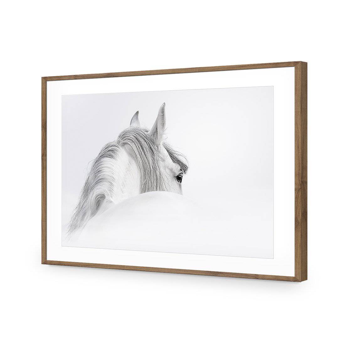 Andalusian Horse In The Mist Acrylic Glass Art - Wall Art Designs - 2569_AR_H WAD_AP - 030 - MAT_45x30_S - 2538 - NAT