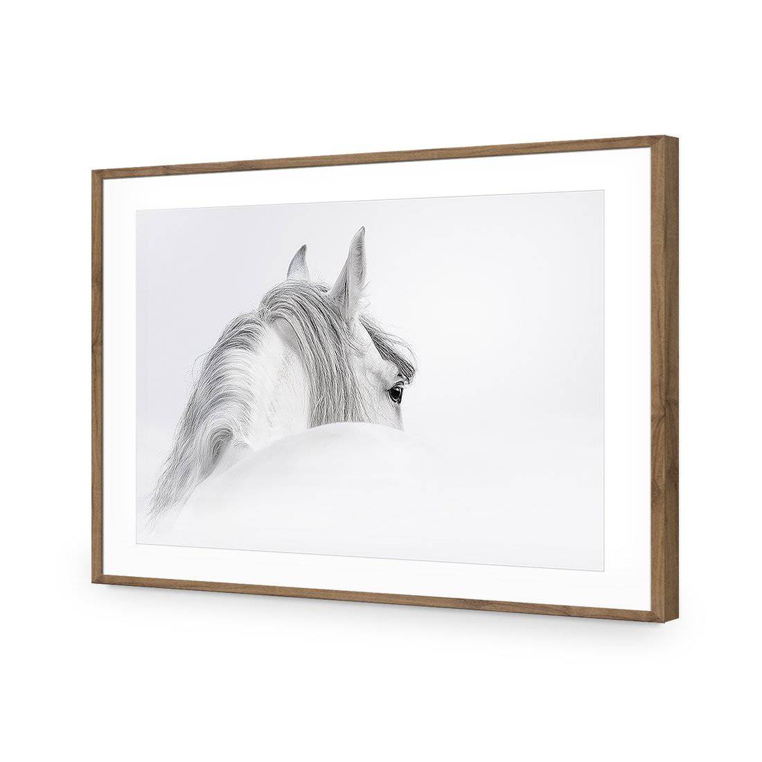 Andalusian Horse In The Mist | Classic Acrylic | Flat Frame With Border | Natural