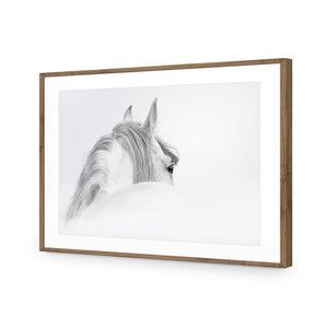 Andalusian Horse In The Mist | Classic Acrylic | Flat Frame With Border | Natural