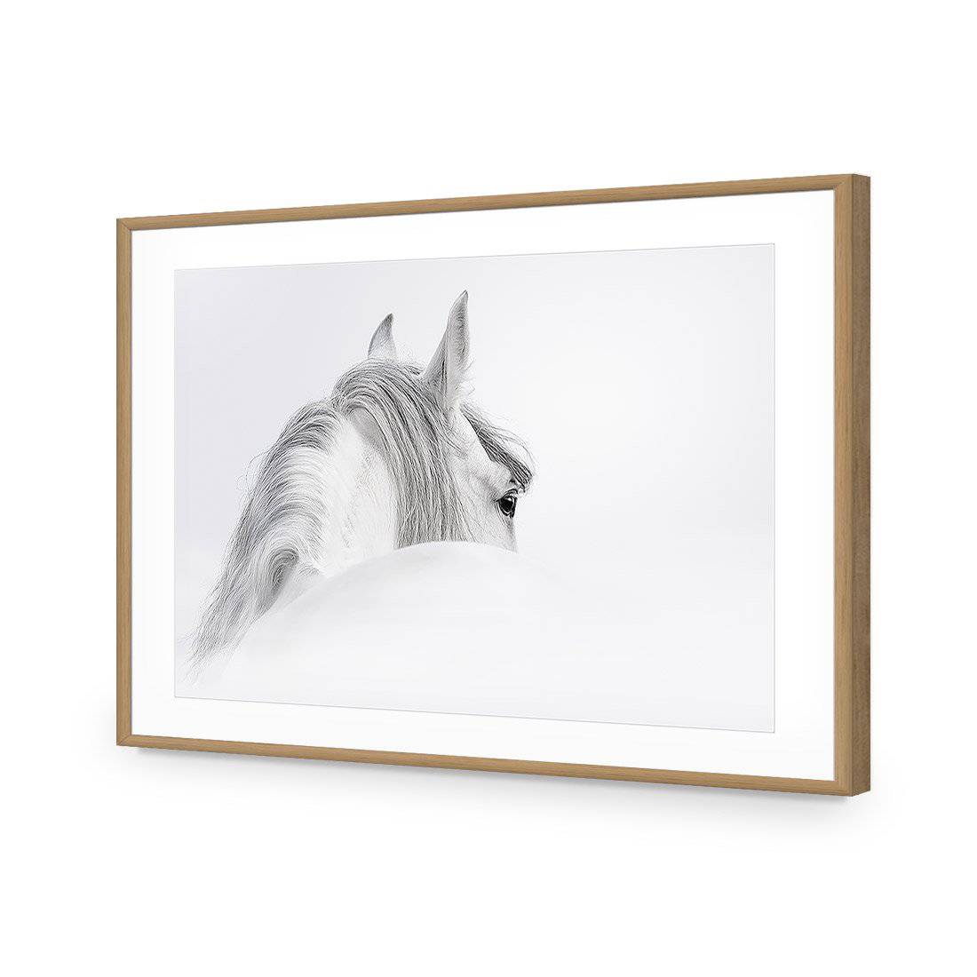 Andalusian Horse In The Mist Acrylic Glass Art - Wall Art Designs - 2569_AR_H WAD_AP - 030 - MAT_45x30_S - 2538 - OAK