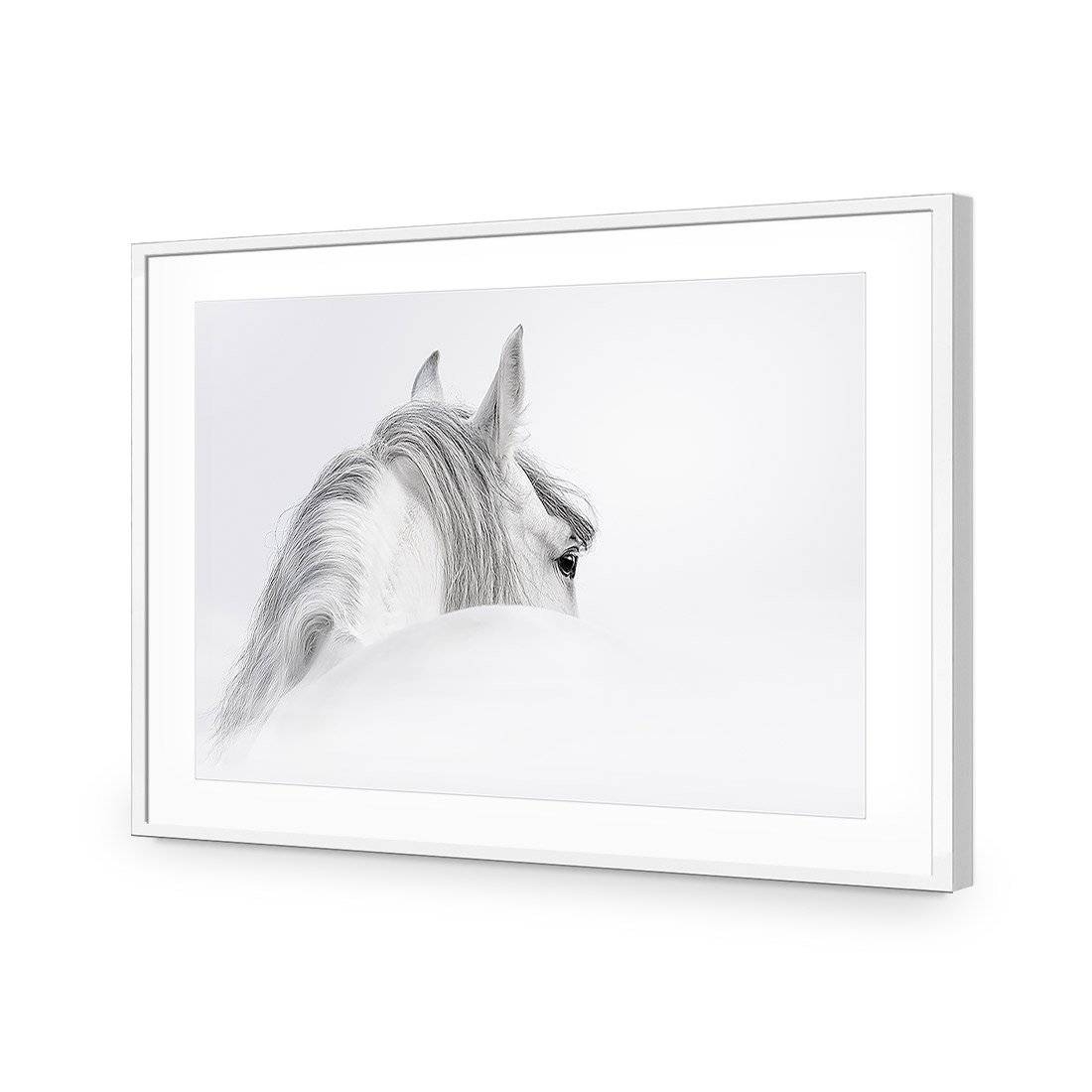 Andalusian Horse In The Mist | Classic Acrylic | Flat Frame With Border | White