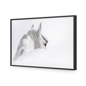 Andalusian Horse In The Mist | Classic Acrylic | Flat Frame No Border | Black