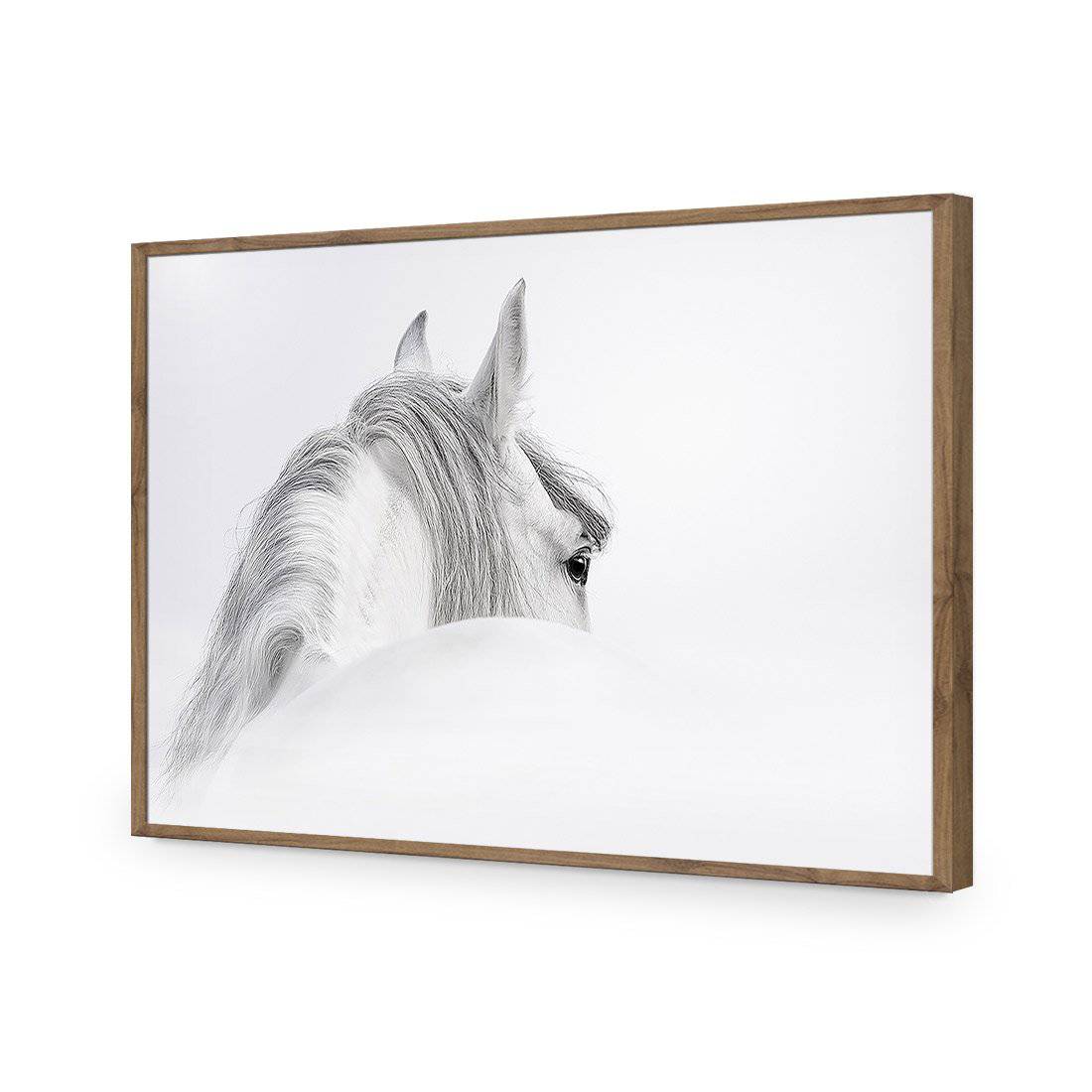 Andalusian Horse In The Mist Acrylic Glass Art - Wall Art Designs - 2569_AR_H WAD_AP - 030 - EDG_45x30_S - 2538 - NAT