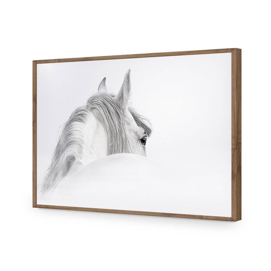 Andalusian Horse In The Mist | Classic Acrylic | Flat Frame No Border | Natural