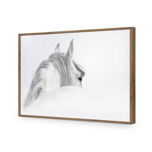 Andalusian Horse In The Mist | Classic Acrylic | Flat Frame No Border | Natural
