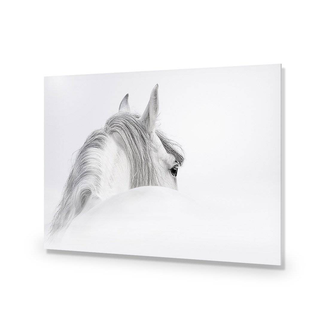 Andalusian Horse In The Mist Acrylic Glass Art - Wall Art Designs - 2569_AR_H WAD_AP - 030 - EDG_45x30_NONE