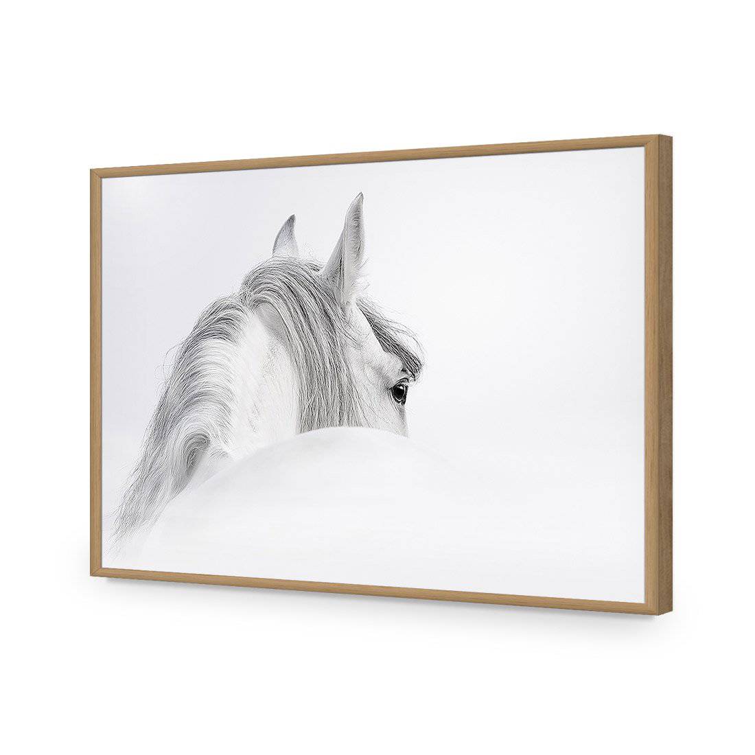 Andalusian Horse In The Mist | Classic Acrylic | Flat Frame No Border | Oak