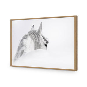 Andalusian Horse In The Mist | Classic Acrylic | Flat Frame No Border | Oak