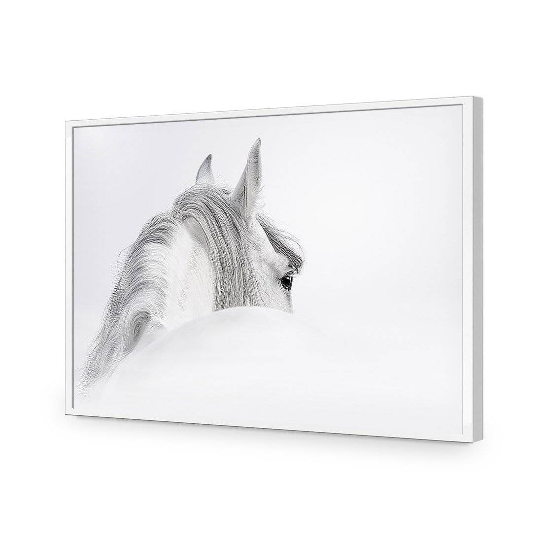 Andalusian Horse In The Mist | Classic Acrylic | Flat Frame No Border | White