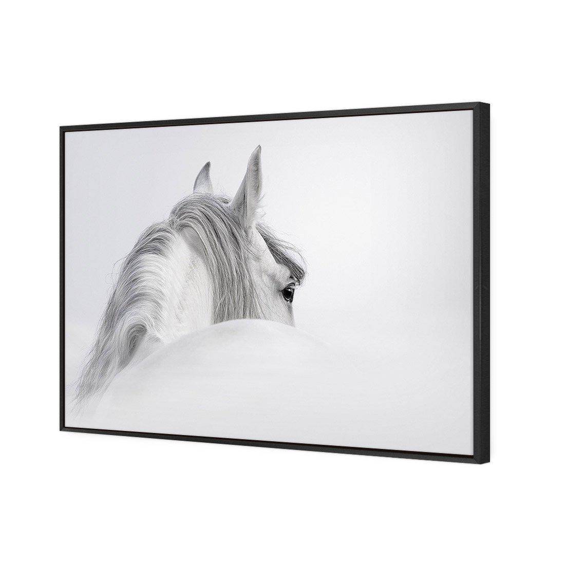 Andalusian Horse In The Mist | Standard Canvas | Floating Frame | Black