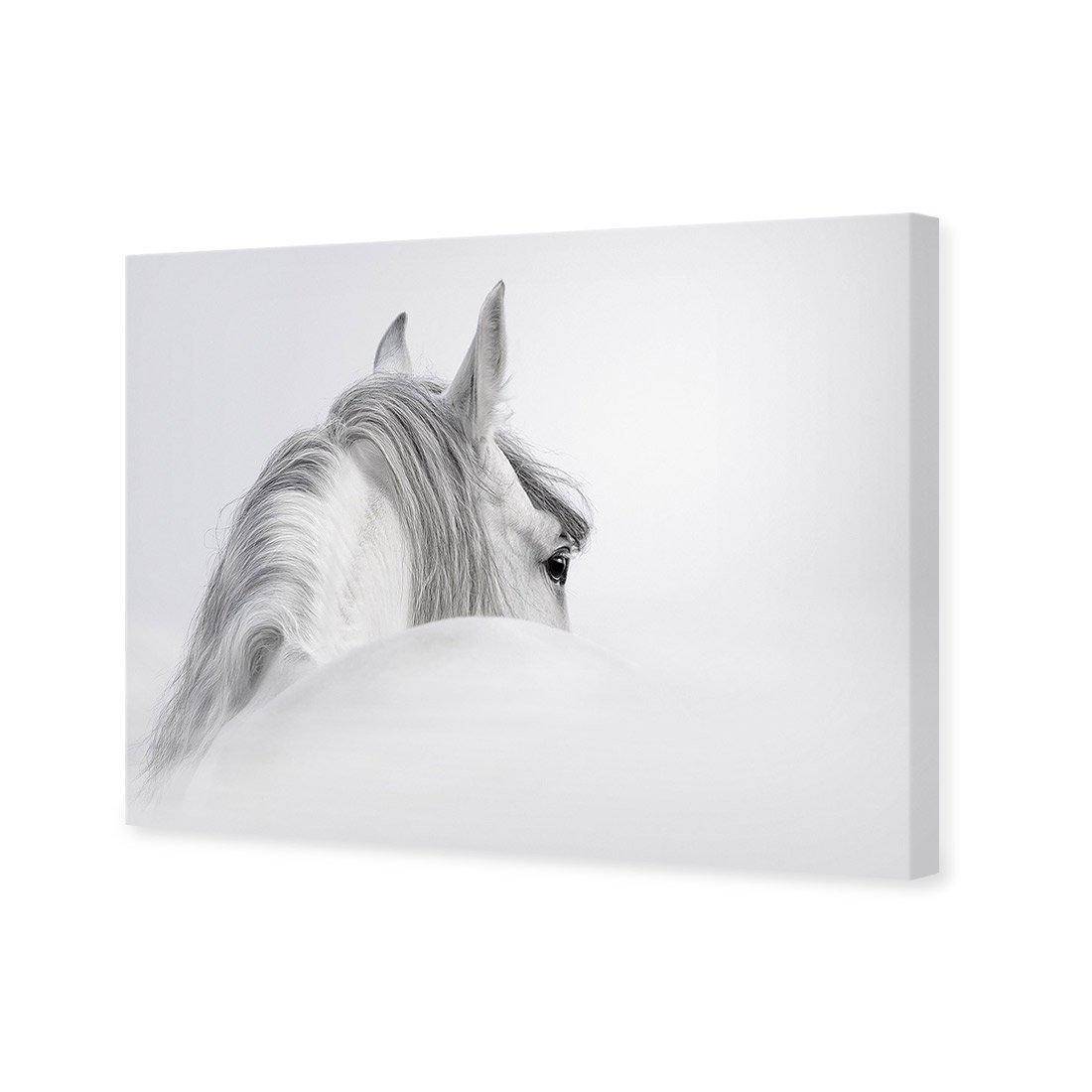 Andalusian Horse In The Mist | Standard Canvas | No Frame | Stretched Canvas