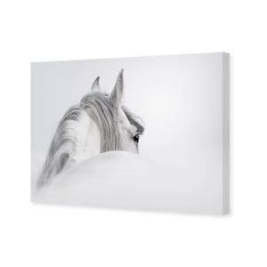 Andalusian Horse In The Mist | Classic Canvas | No Frame | Stretched Canvas