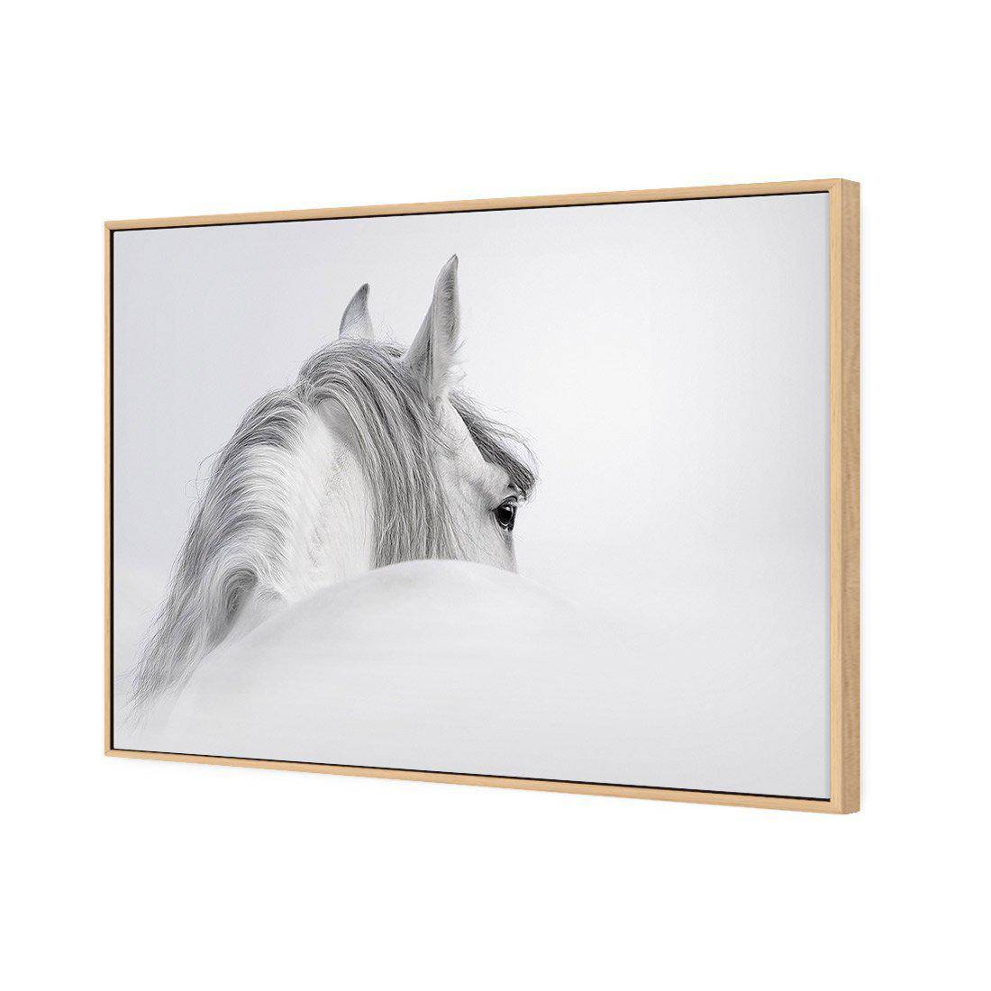 Andalusian Horse In The Mist | Classic Canvas | Floating Frame | Oak
