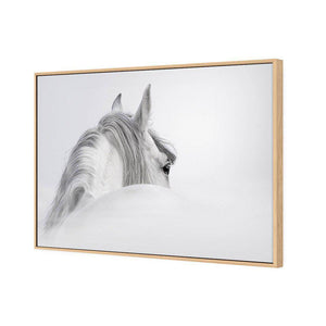 Andalusian Horse In The Mist | Classic Canvas | Floating Frame | Oak