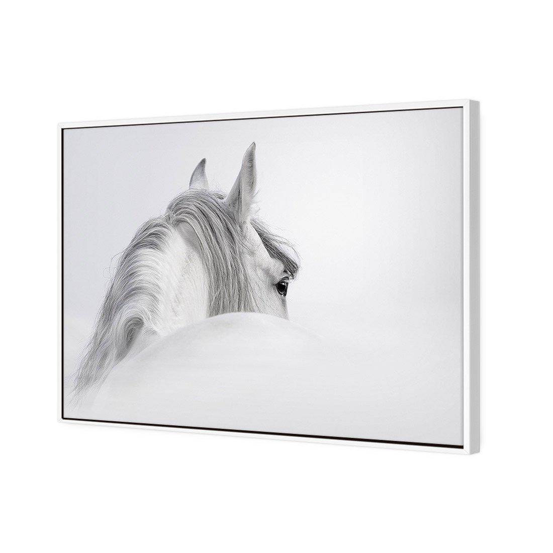 Andalusian Horse In The Mist | Classic Canvas | Floating Frame | White