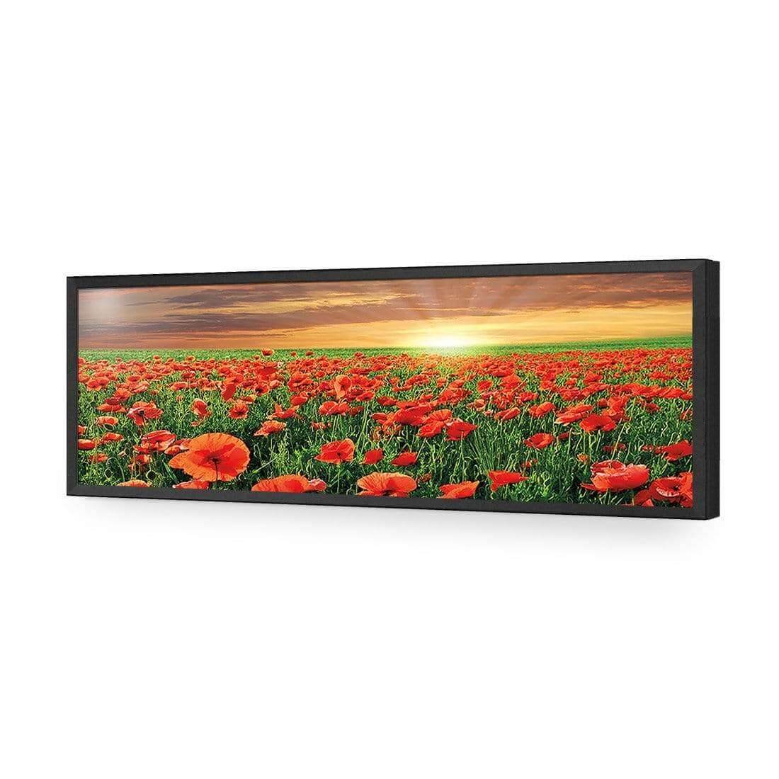 Anzac Poppy Field (long) - Wall Art Designs - 754_AL_H WAD_AP - 030 - EDG_90x30_S - 2538 - BLK