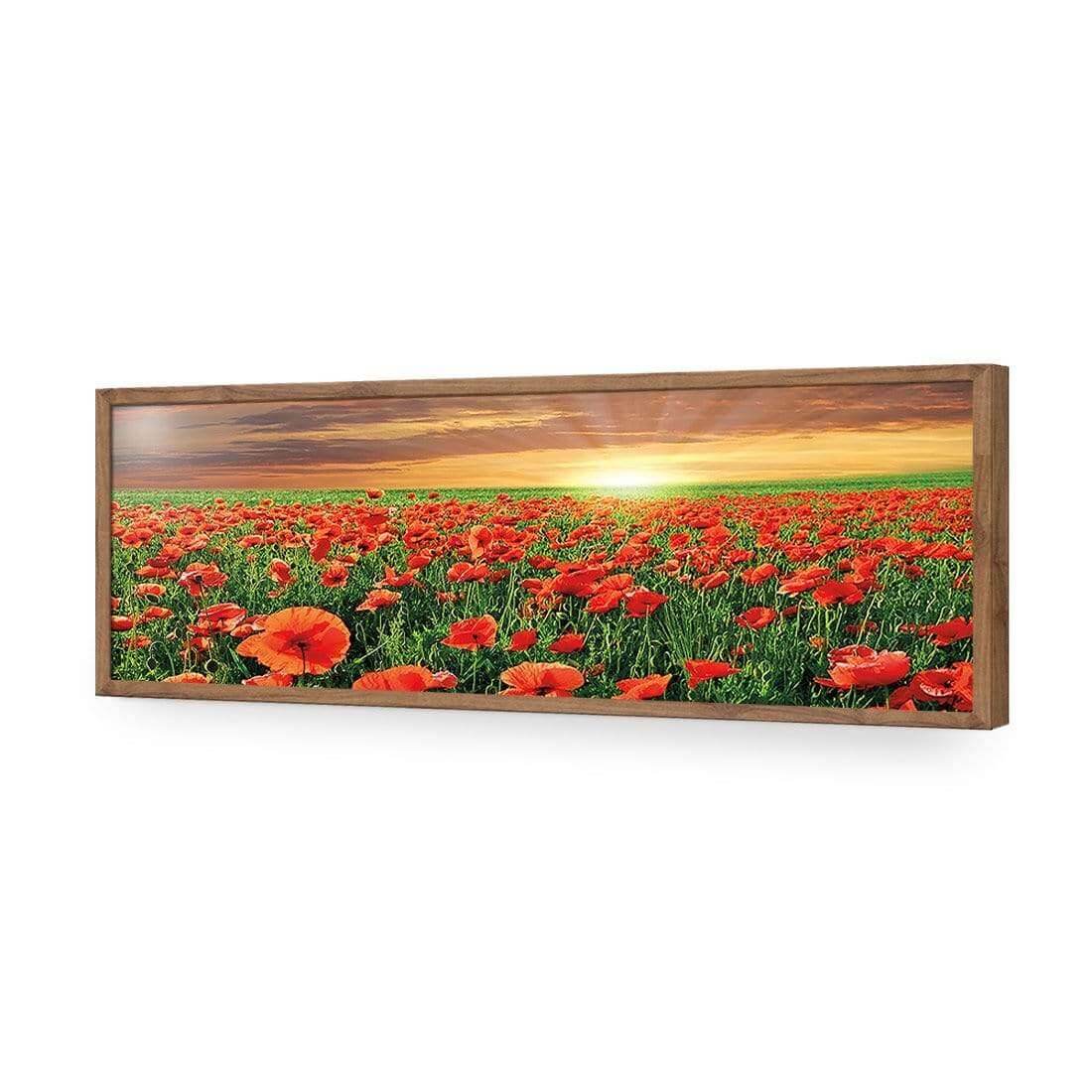 Anzac Poppy Field (long) - Wall Art Designs - 754_AL_H WAD_AP - 030 - EDG_90x30_S - 2538 - NAT