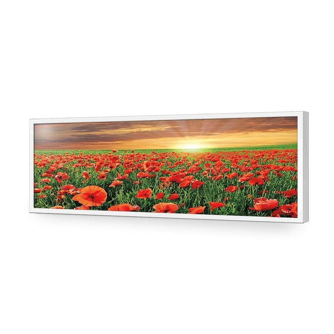 Anzac Poppy Field (long) - Wall Art Designs - 754_AL_H WAD_AP - 030 - EDG_90x30_S - 2538 - WHT